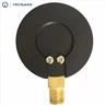 Low Pressure Capsule Gauge